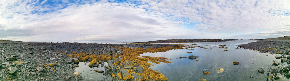 Obraz premium The rocky coast of the Barents Sea. Beautiful view of the rocks and the coast of the Rybachy and Sredny peninsulas, Murmansk region, Russia. The landscape is the harsh beauty of the north.