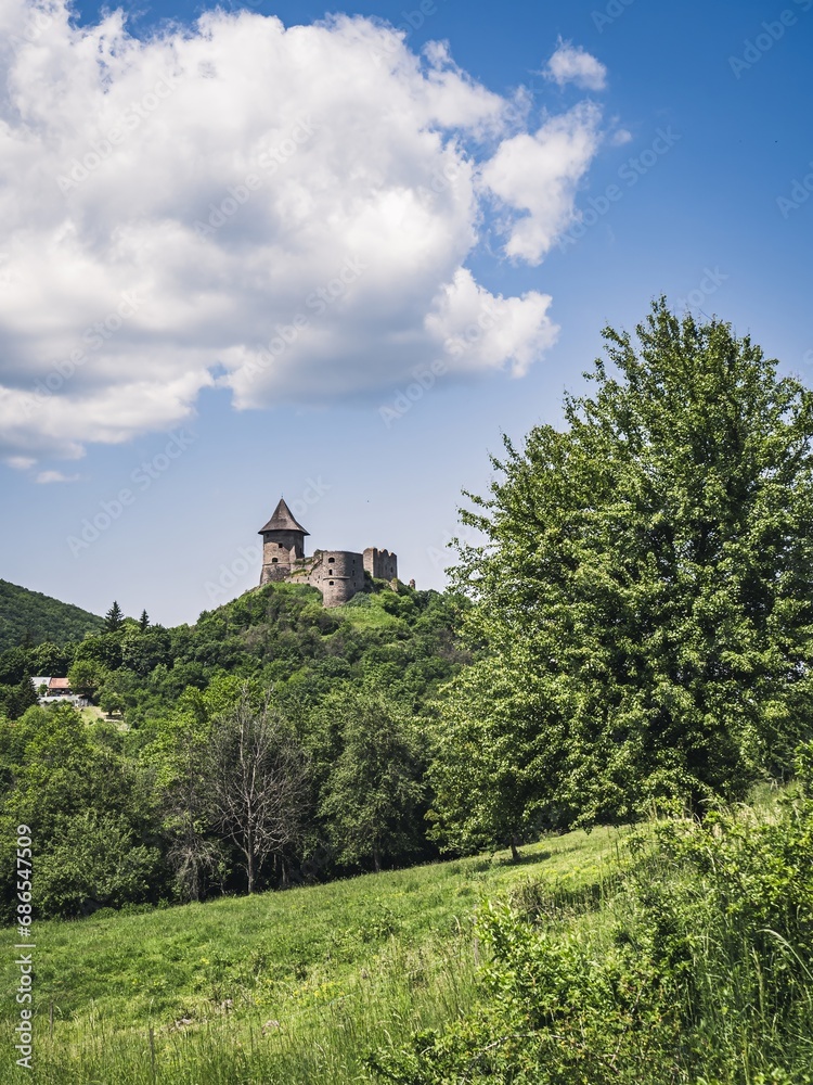 Tree bordered view of the famous Castle of Somosko. Slovakian Šomoška hrad, Hungarian Somoskői vár.