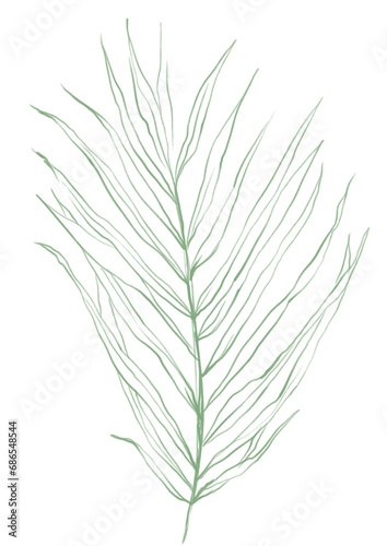 Line art tropical plant. Green palm leaf