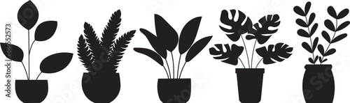 silhouette of indoor plants on a white background vector