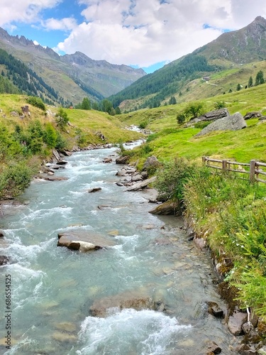 the mountain stream