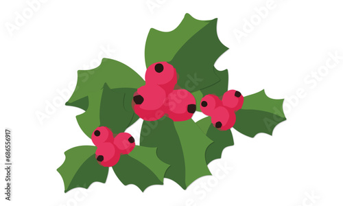 Holly Leaves and Berries Kokina Flower Christmas Flowers Isolated on White Illustration Vector Image Isolated