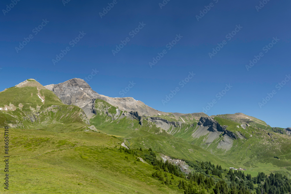 Schwarzhoren - Majestätisches Panorama des Schwarzhorns nahe Grindelwald in den Schweizer Alpen, umgeben von sattgrünen Hängen und einem tiefblauen Himmel.