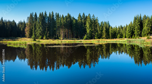 Lake in the forest, spruce trees reflecting in the water