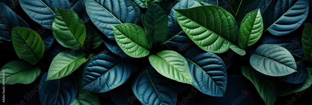 Deep Fresh Green Leaves Texture Background , Banner Image For Website, Background, Desktop Wallpaper