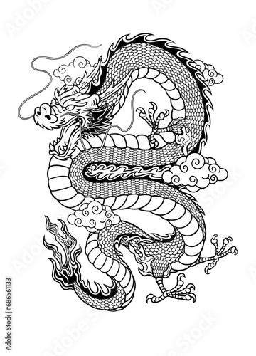 Hand Drawn Asian Dragon Tattoo Illustration on White Background