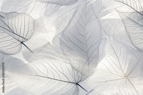 abstract digital background with stylized lightweight semi-transparent silver leaves 