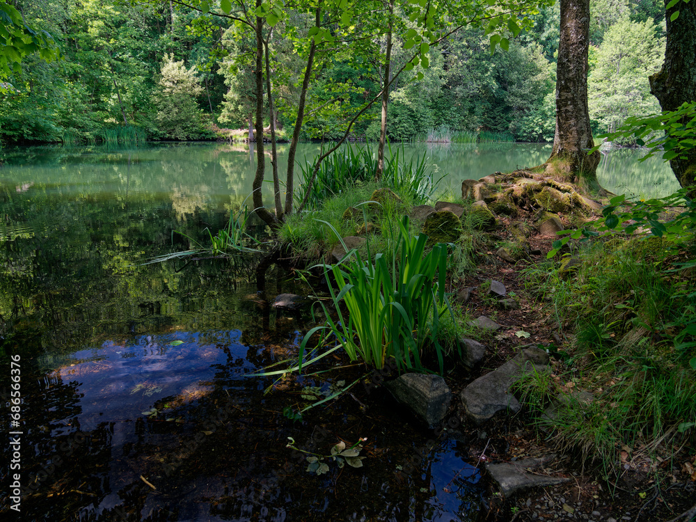 Basaltsee am Steinernen Haus bei Ginolfs im NSG „Hohe Rhön Basaltsee am Steinernen Haus bei Ginolfs im NSG „Hohe Rhön