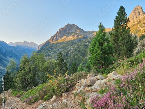 En route vers Migouélou - Hautes-Pyrénees (65)