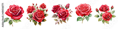 Set of Watercolor floral bouquet composition with red roses Isolated cutout on transparent background photo
