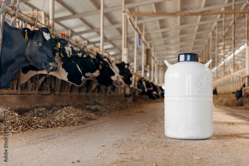 Concept artificial insemination of cows, tank liquid nitrogen with bull sperm. Veterinary of industry dairy livestock photo