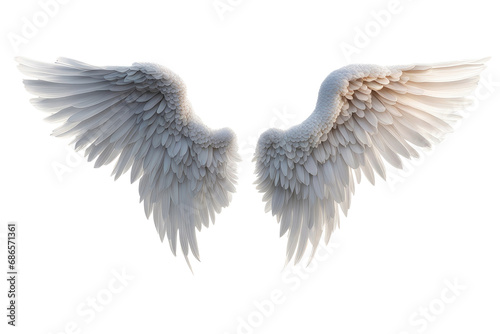 a high quality stock photograph of a single angel wings isolated on a white background photo