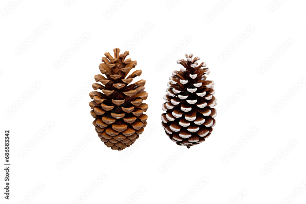 Natural Pine Cones Duo on Transparent Background, PNG