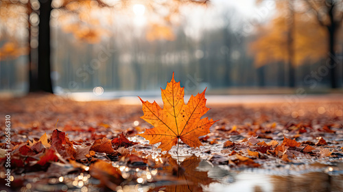 A fallen leaf on the ground in an autumn setting  capturing the essence of the season. Suitable for seasonal designs  nature-themed content  and fall-related visuals.