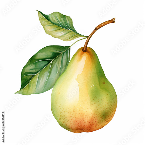 Pear with Leaf. and Blossom. Watercolour Illustration of Fresh Ripe Pears Isolated on White.