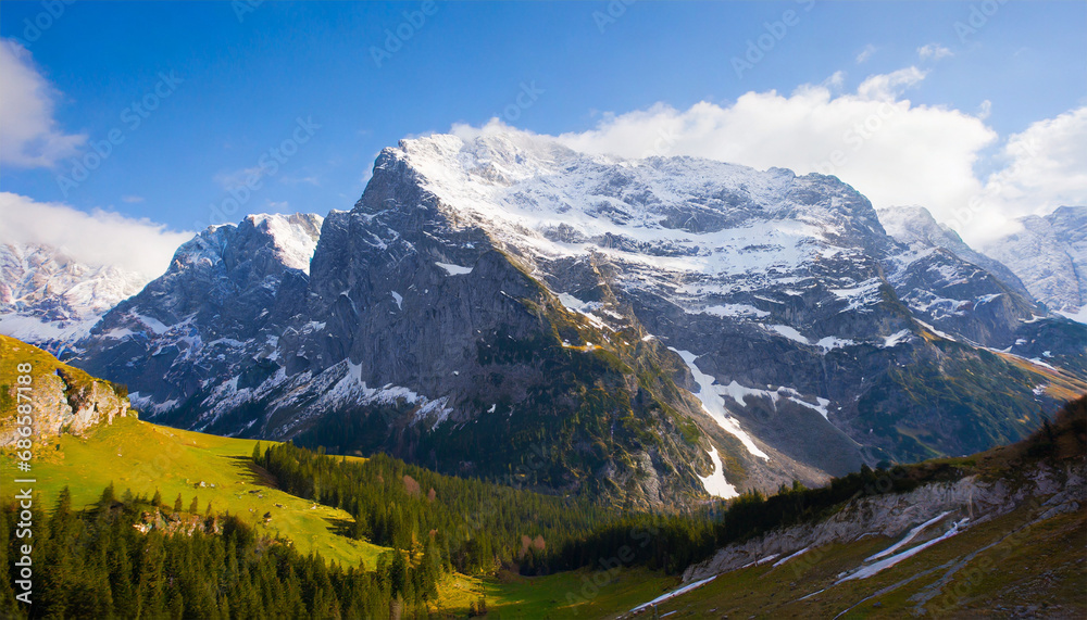 Alpine mountains in winter covered with snow, green meadows