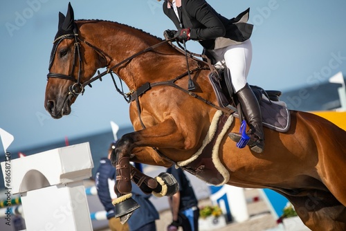 A horse jumping over an obstacle. © Wirestock
