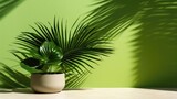 stylish mockup featuring a palm leaf shadow on a green wall background.