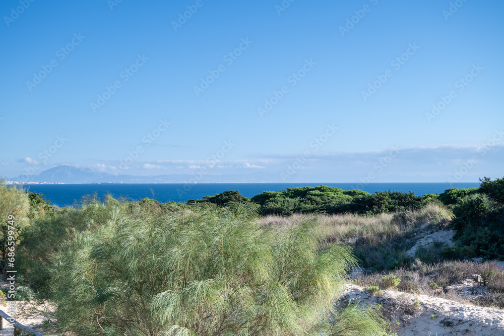 coastal dune landscape with ocean view