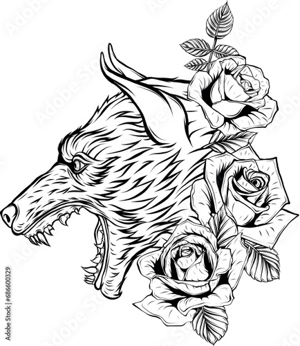 Vector illustration of Wolf head. Outlined drawing.