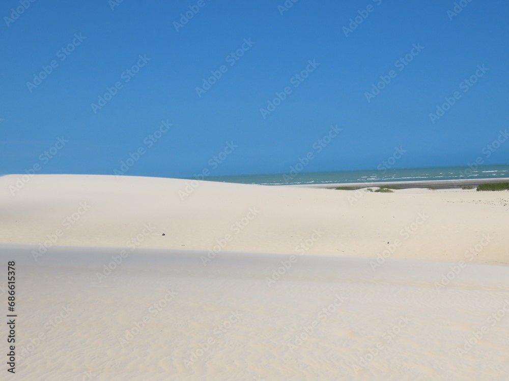 sand dunes on the beach sand dunes on the beach