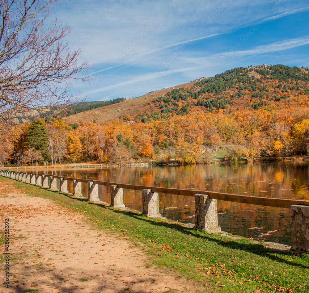 Paseo por el lago Paseo por el lago