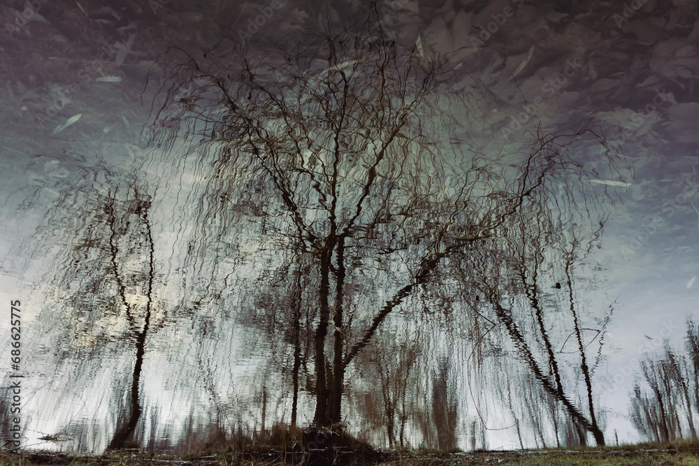 Fototapeta premium Beyond reality: reflection of trees in a pond with ice shards