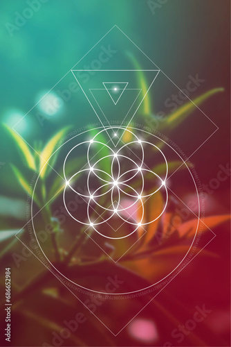 Flower of life. Tree of life. Sacred geometry spiritual new age futuristic illustration with transmutation interlocking circles, triangles and glowing particles