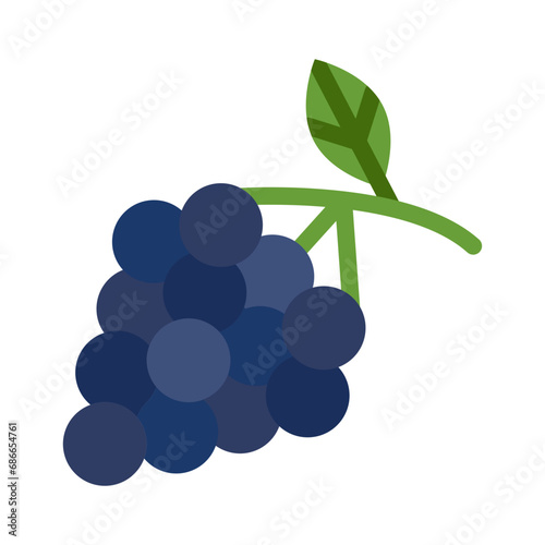 Zinfandel Grapes Vector Flat Icon Design