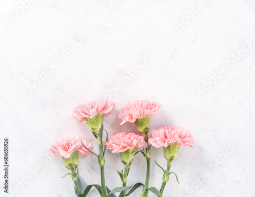 Fototapeta Naklejka Na Ścianę i Meble -  Beautiful, elegant pink carnation flower over bright white marble table background, concept of Mother's Day flower gift, top view, flat lay, overhead