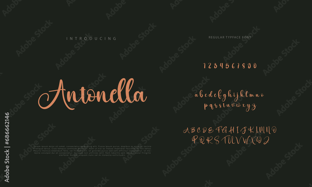 Signature font calligraphy logotype script brush font type font lettering handwritten
