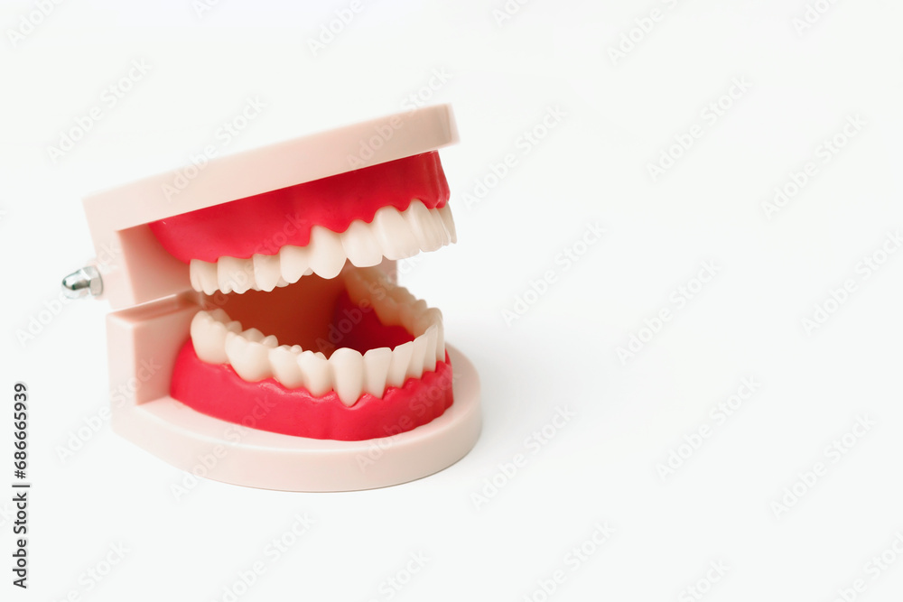 Obraz premium Dentures on a white background, flat lay, sample jaw