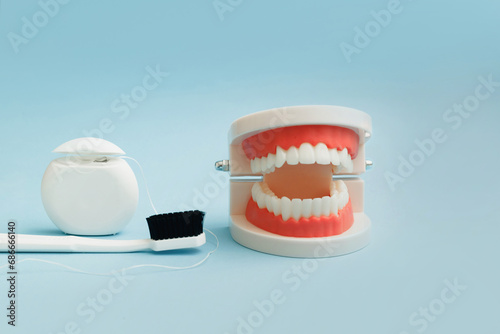 Model of jaw, dental floss, tooth brush on blue background, dental hygiene concept with copy space