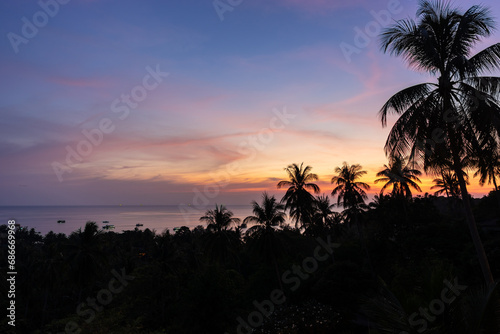 Tropical landscape with palms trees silhouettes against scenic colorful romantic sunset sky on Koh Tao island. High angle view on sea horizon. Copy space