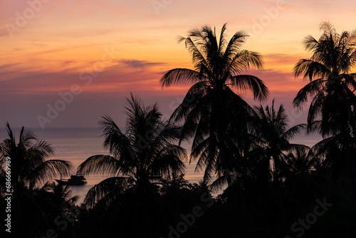 Tropical landscape with palm trees silhouettes against colorful pink and orange romantic sky during sunset on Koh Tao island