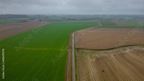 This image displays an overcast day over a rural landscape, where a lone road divides two contrasting fields. To the left, the lush green crops stand in stark contrast to the bare, ploughed land on