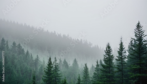 Misty Pines: The Enigmatic Forest © Marouani Mohamed