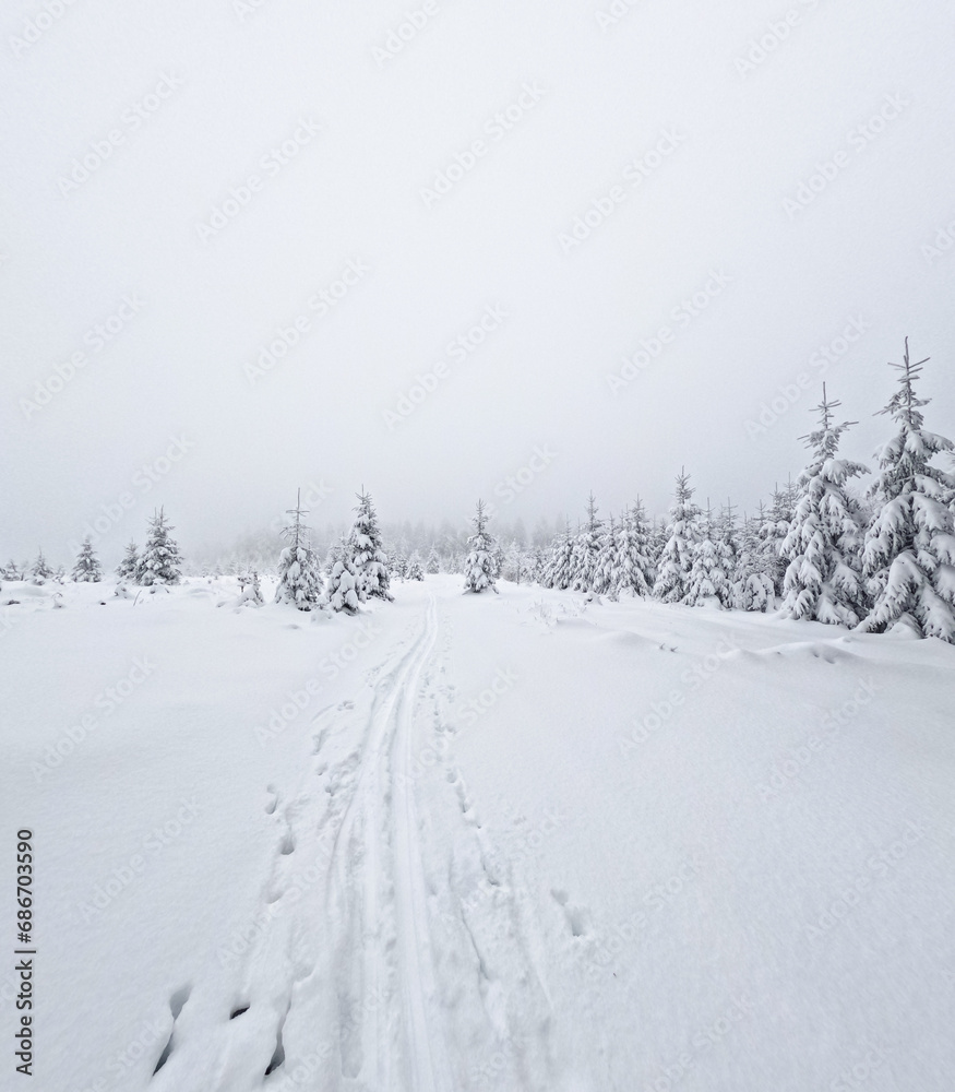 Skispur oder Skispur in Winterlandschaft am Rennsteig, Langlaufgebiet tief verschneit in Thüringen Deutschland Skispur oder Skispur in Winterlandschaft am Rennsteig, Langlaufgebiet tief verschneit in Thüringen Deutschland