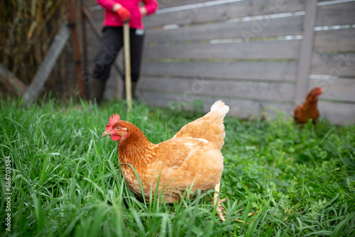 Cuadro en lienzo chickens walking in the garden with the farmer in the back
