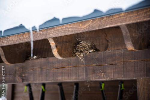 A birds nest in the winter under a roof with snow on top   © Szabi