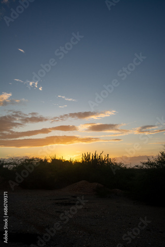 Sunrise in the desert. Tour of a desert island, full of xeric vegetation. Cactus and red earth. Mountains, clouds and sun photo