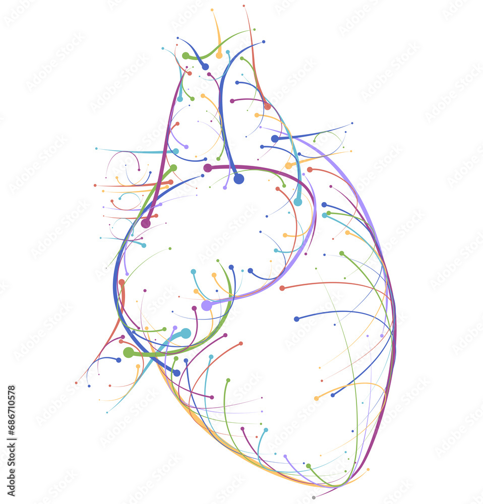 Fototapeta premium Illustration of colored lines and intersection of heart, modern style on white background. It is used in medicine, commerce, industy and education.