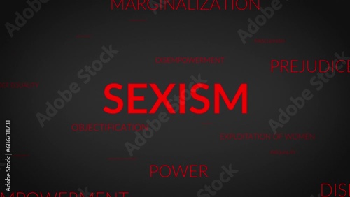 Unveiling Perspectives: A Dynamic Zoom into Sexism Related Themes