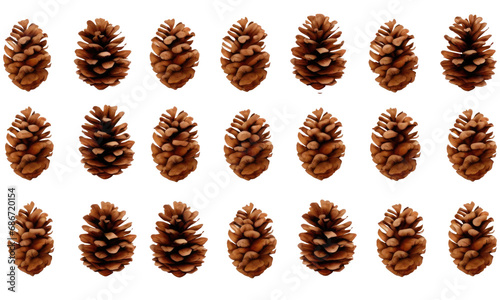 set of pine cones isolated on transparent background