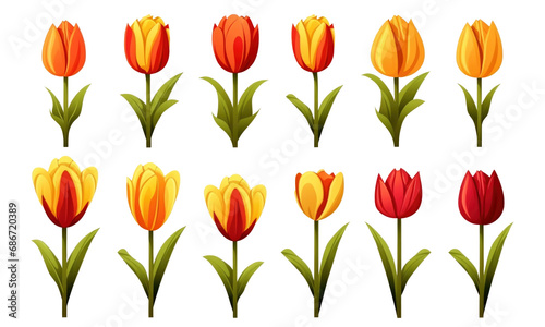 set of tulips isolated  on transparent background
