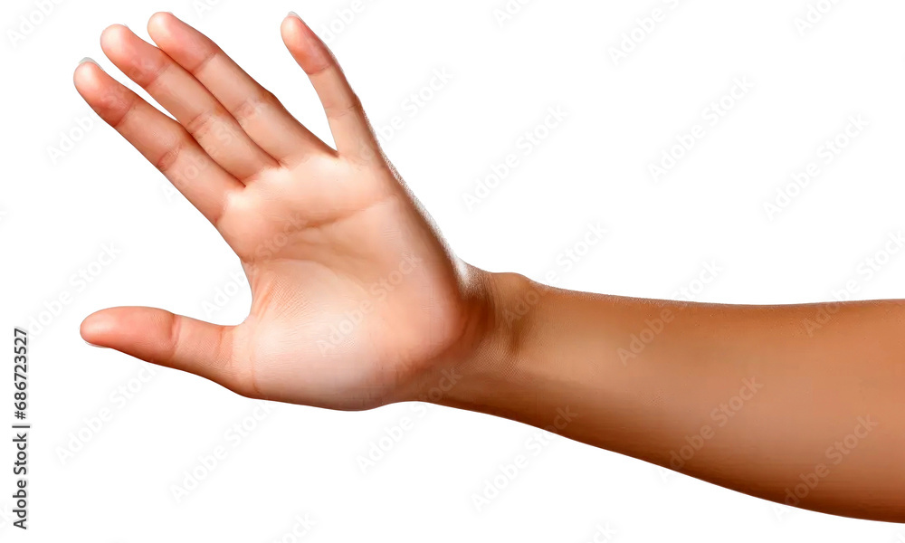 Women, female hands, palms isolated on transparent background Women, female hands, palms isolated on transparent background