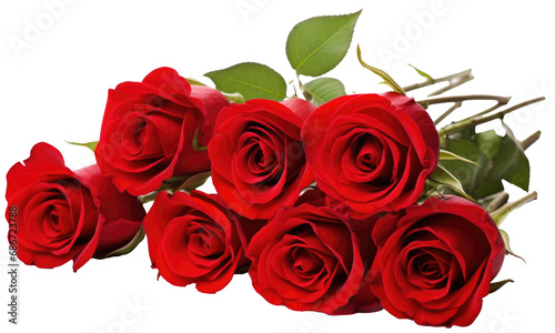bouquet of red roses isolated  on transparent background