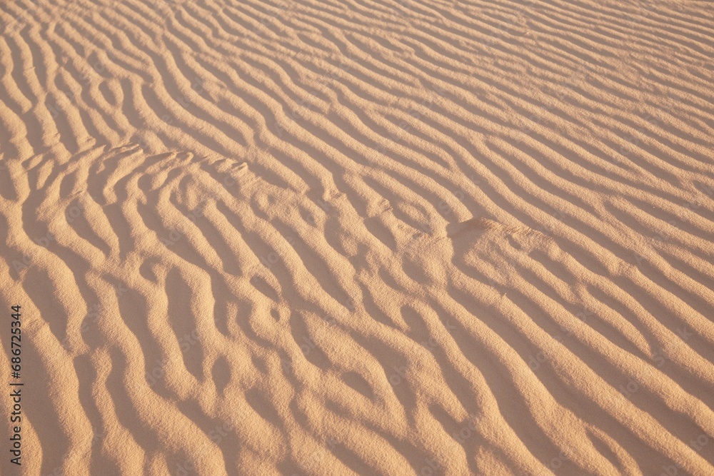 The stunning Coral Pink Sand Dunes State Park in southern Utah The stunning Coral Pink Sand Dunes State Park in southern Utah