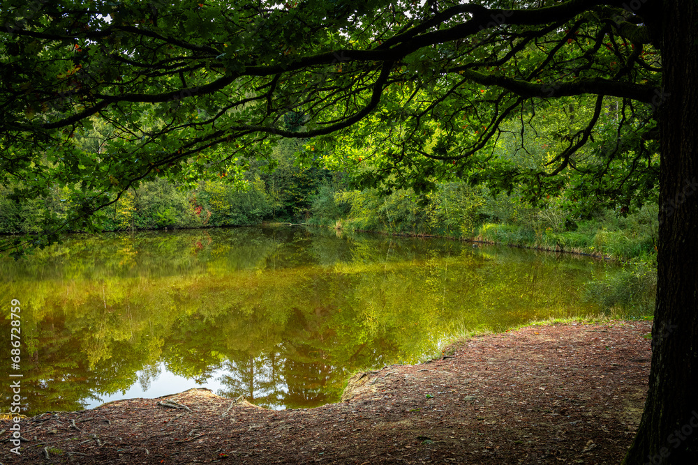 Wonderful autumn colours in a park near Tunbridge Wells in Kent, England Wonderful autumn colours in a park near Tunbridge Wells in Kent, England
