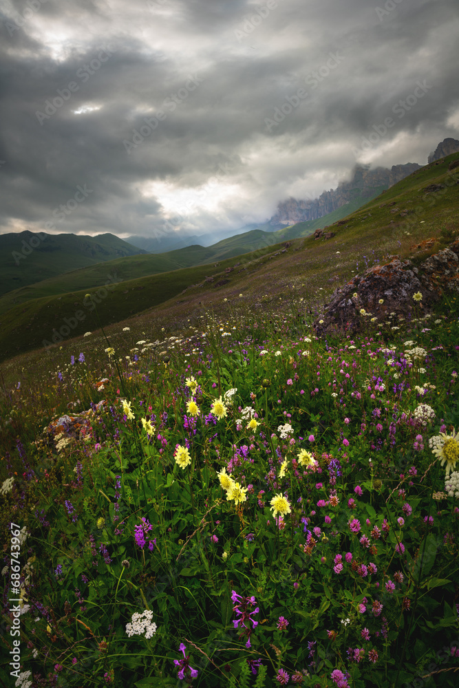 Daytime landscape in the mountains where plants bloom beautifully. Magnificent view of beautiful flowers on a sunny day. The picturesque landscape of an amazing natural place